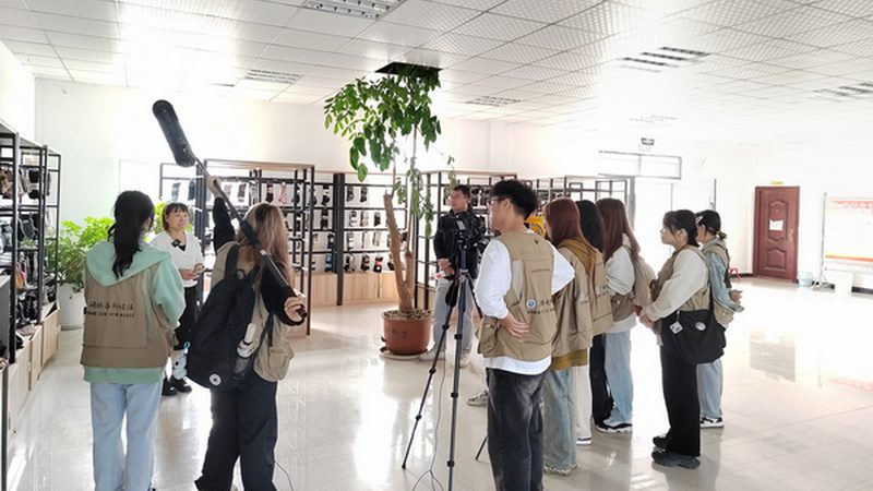 揭秘传媒公司品牌排名：如何洞察行业实力与潜力**